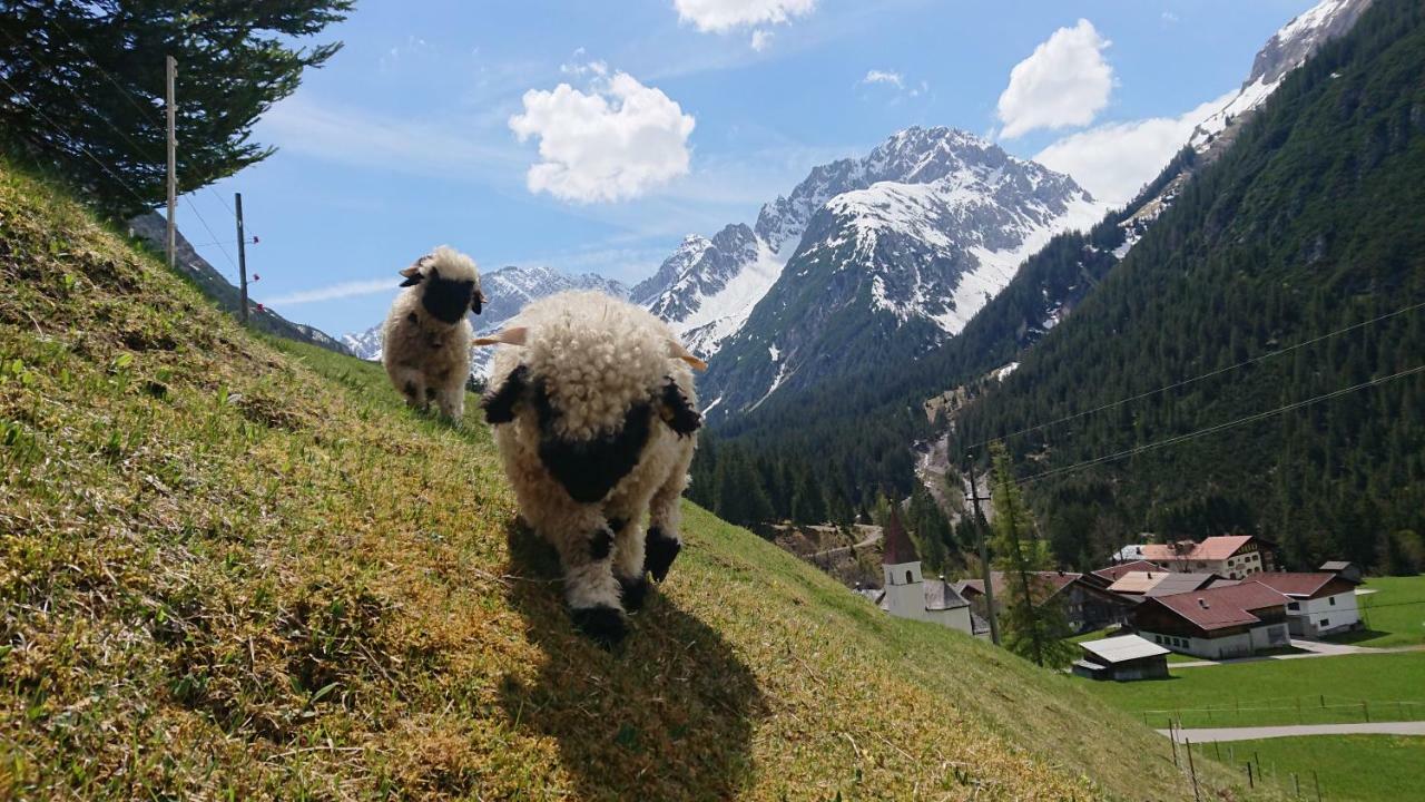 Vila Bergbauernhof Pabulariu Boden Exteriér fotografie